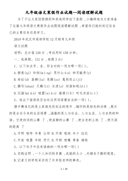 九年级语文寒假作业试题阅读理解试题