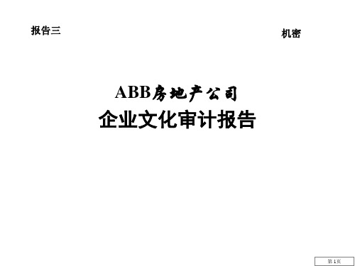 ABB文化--企业文化审计报告