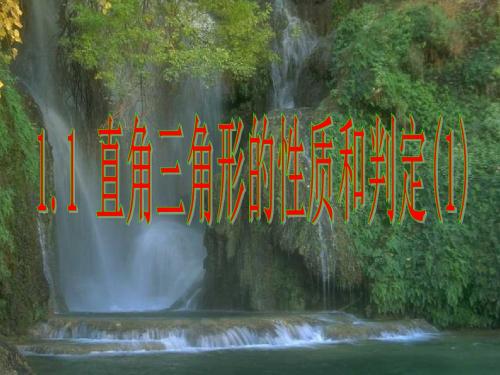 八年级数学下册1.1直角三角形的性质和判定(一)教学课件(新版)湘教版