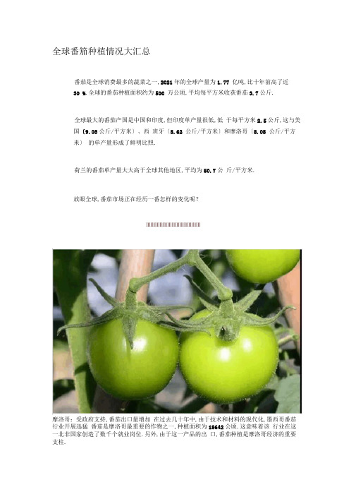 全球番茄种植情况大汇总