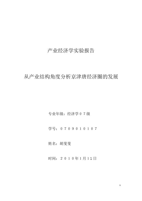 产业经济学实验报告结稿