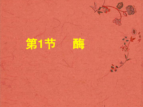 高中生物一轮复习《分子与细胞》酶、ATP、细胞呼吸课件 新人教版必修1