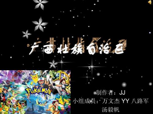 广西壮族自治区