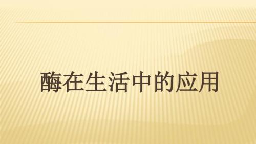 酶在生活中的应用