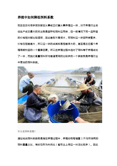 养殖中如何降低饵料系数