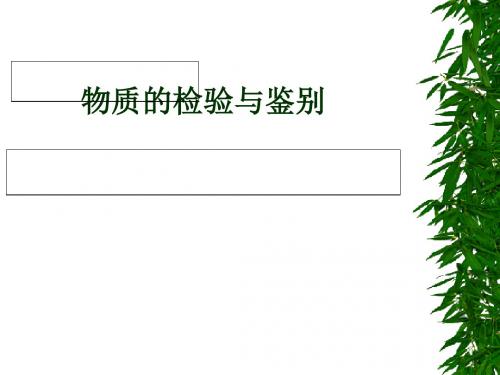 中考化学专题复习物质的检验与鉴别PPT课件1