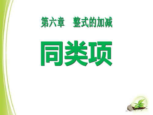 2014秋青岛版数学七上6.2《同类项》ppt课件4