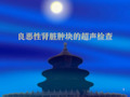 良恶性肾脏肿块的超声检查ppt课件