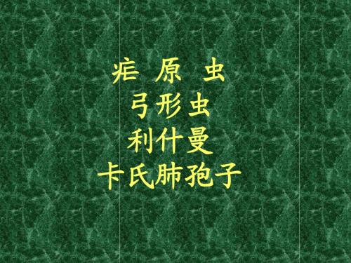 疟原虫、弓形虫、利什曼原虫、肺孢子虫