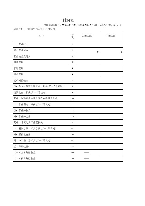 中能国电2010年报-