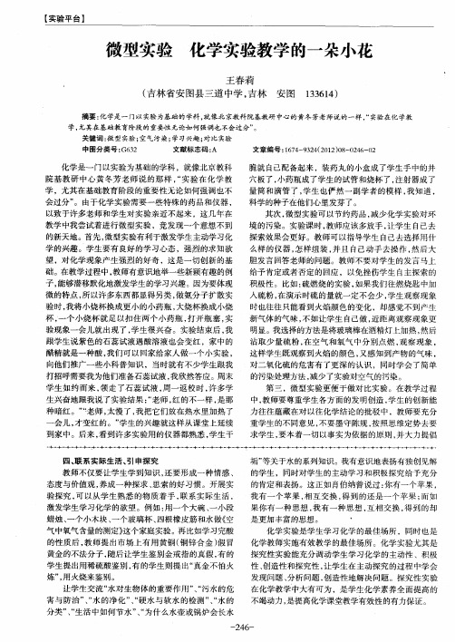 微型实验化学实验教学的一朵小花