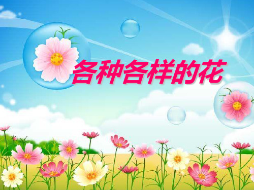 四年级下 各种各样的花教科版ppt (共43页)