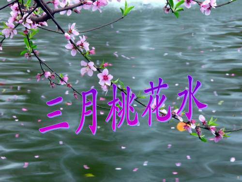 北师大版语文四下《三月桃花水》课件3
