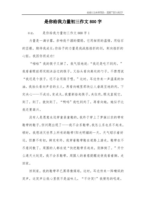 是你给我力量初三作文800字