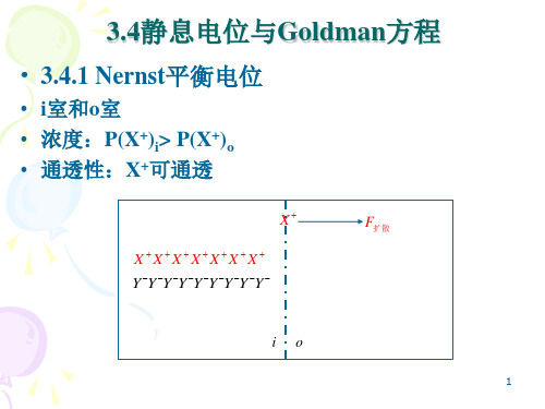 第3章 电磁生物物理4 静息电位和动作电位
