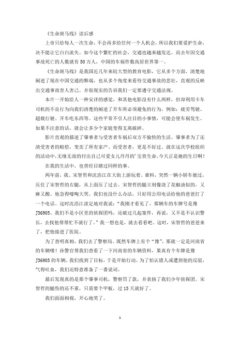 《生命斑马线》读后感(最新)