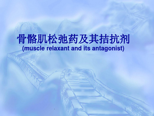 《肌松药及拮抗剂》