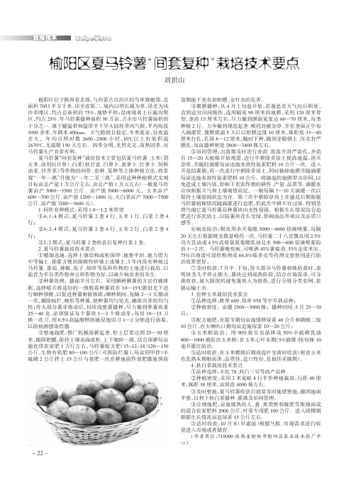 榆阳区夏马铃薯“间套复种”栽培技术要点