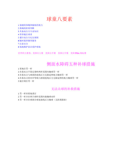 球童八要素