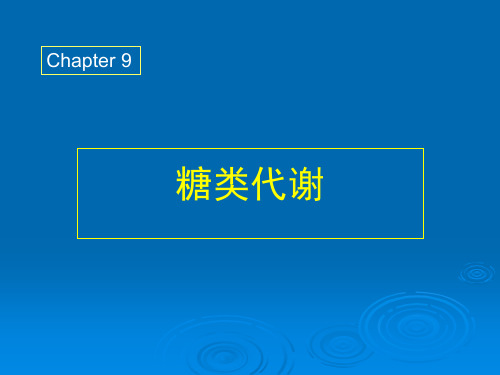 草酰乙酸乙酰CoA