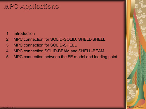 ansys MPC