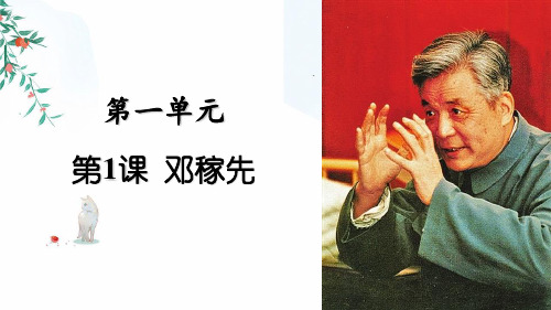 七年级语文部编版下册《邓稼先》课件PPT5