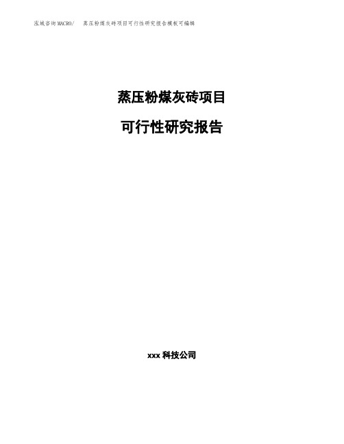 蒸压粉煤灰砖项目可行性研究报告模板可编辑