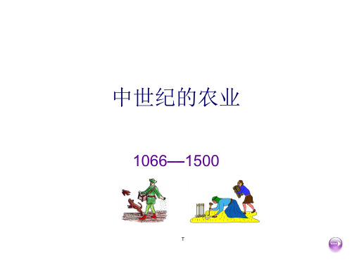英国教师的英国中世纪史课件6