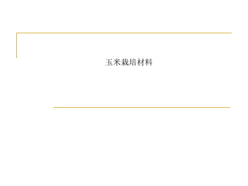 玉米栽培材料
