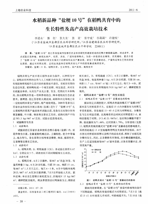 水稻新品种“盐粳10号”在稻鸭共育中的生长特性及高产高效栽培技术