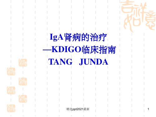 KDIGO临床指南PPT课件