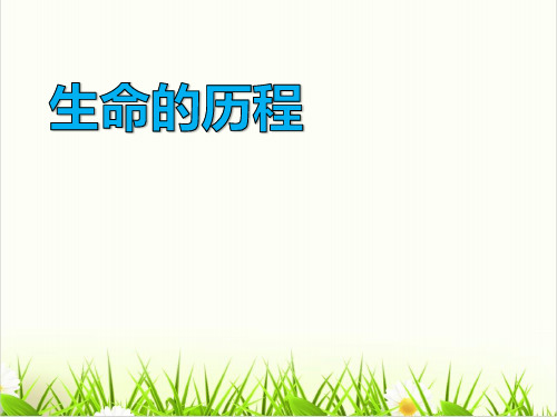 六年级下册科学-生命的历程-湘科版(28张)