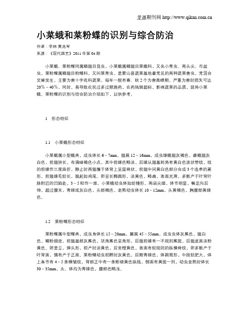 小菜蛾和菜粉蝶的识别与综合防治