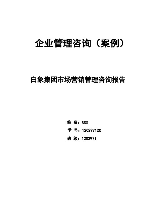 白象集团市场营销管理咨询报告