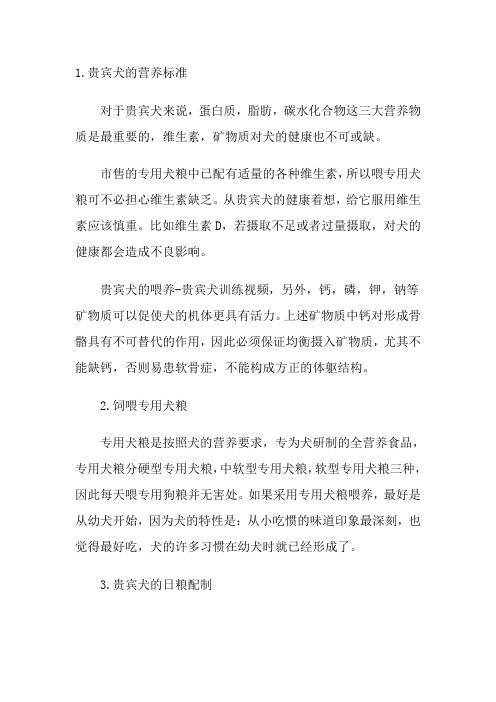 贵宾犬的喂养