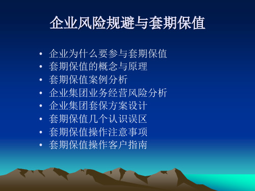 套期保值与企业风险规避
