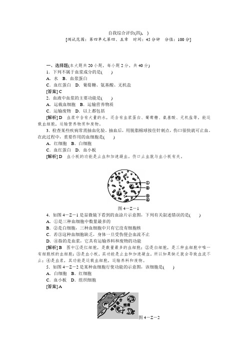 自我综合评价(四)