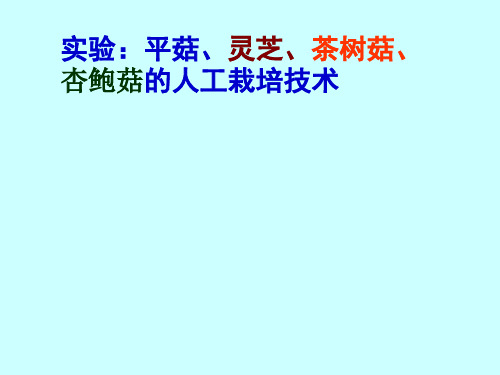 平菇、灵芝、茶树菇、杏鲍菇的人工栽培技术