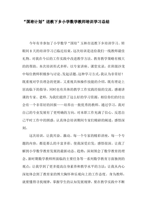 小学数学国培总结