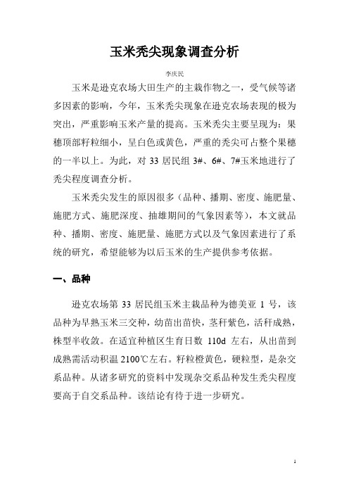 玉米秃尖现象调查分析1