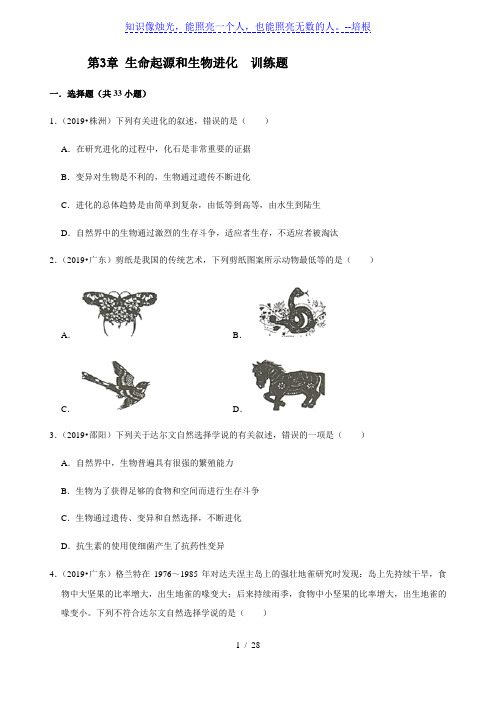 人教版生物八年级下册第3章 生命起源和生物进化 训练题(解析版)