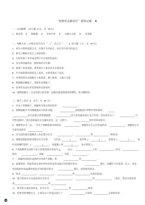 “植物形态解剖学”模拟试题A卷及答案