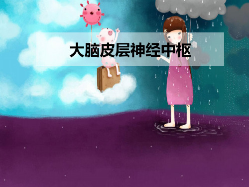 大脑皮层