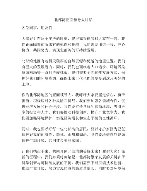 北部湾正面领导人讲话