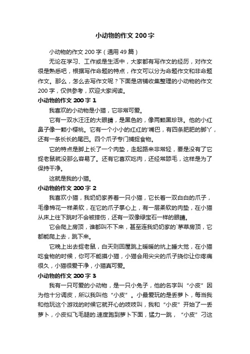 小动物的作文200字