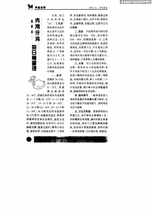 肉用仔鸡的日常管理