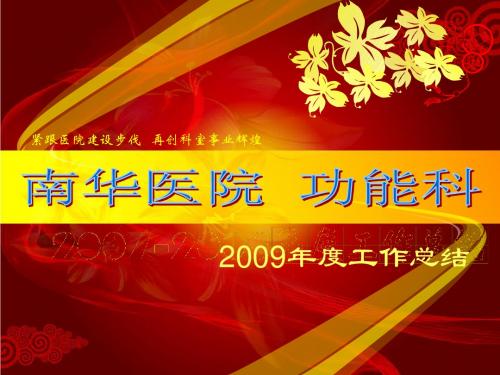 2009功能科年终总结报告 红色