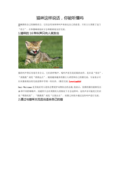 猫咪这样说话,你能听懂吗