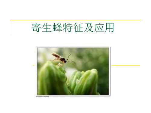 浅谈寄生蜂