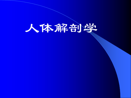 人体解剖学—骨汇总